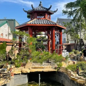 Chòi gỗ lục giác được lắp trong khuôn viên sân vườn với hồ cá Koi
